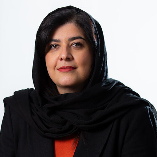 گلنوش ابولفتحی - خانه مهاجرت روشنا